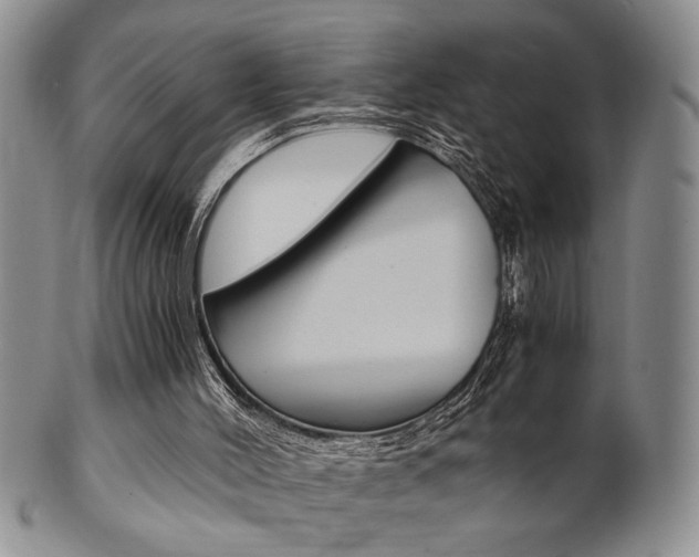 X0000101680004200807101155