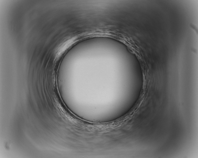 X0000101680005200807101155