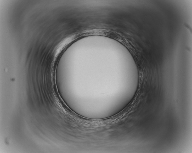 X0000101680006200807101155