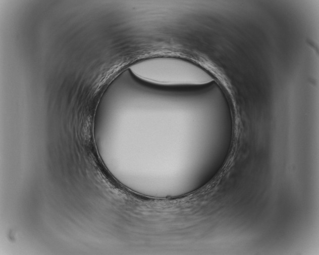 X0000101680009200807101155