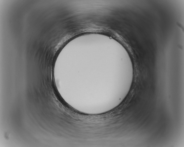 X0000101680011200807101155