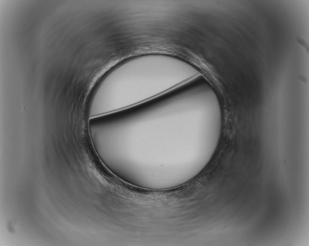 X0000101680012200807101155