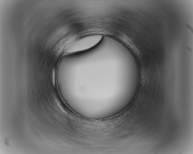 X0000101680014200807101155