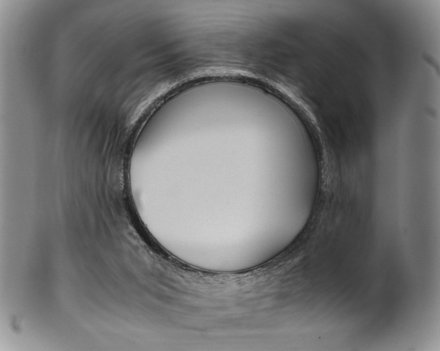 X0000101680015200807101155