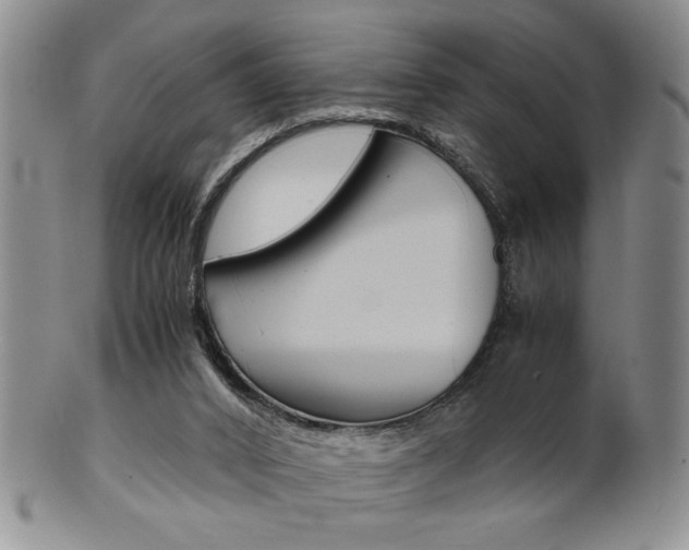 X0000101680016200807101155