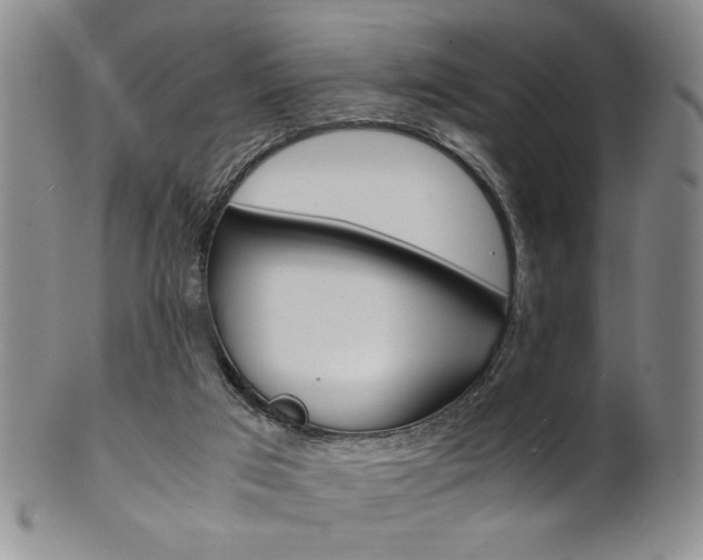 X0000101680017200807101155