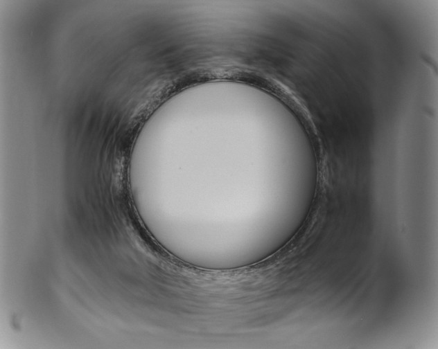 X0000101680018200807101155