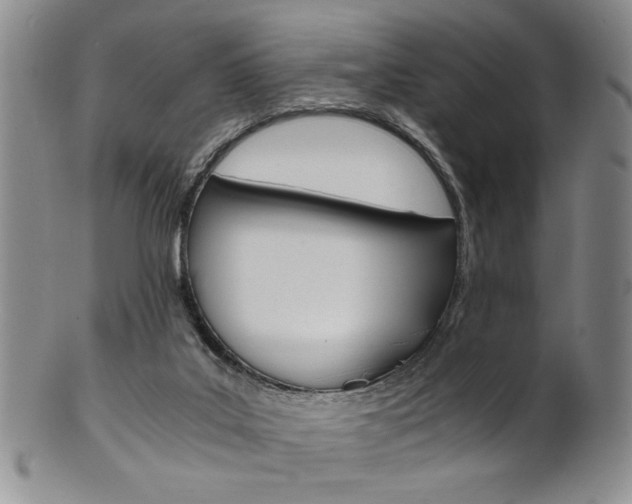 X0000101680019200807101155