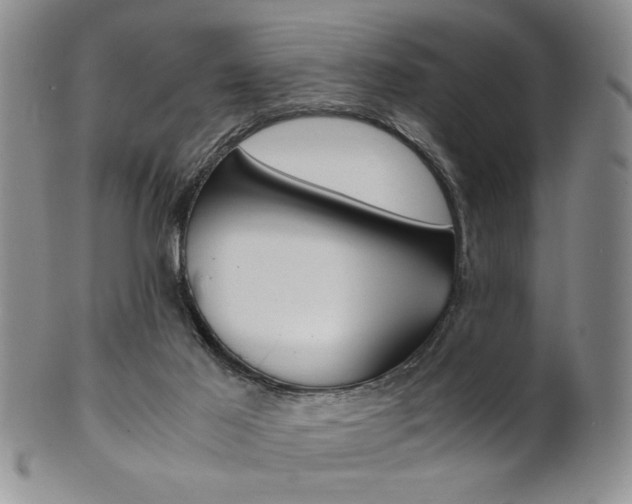 X0000101680021200807101155