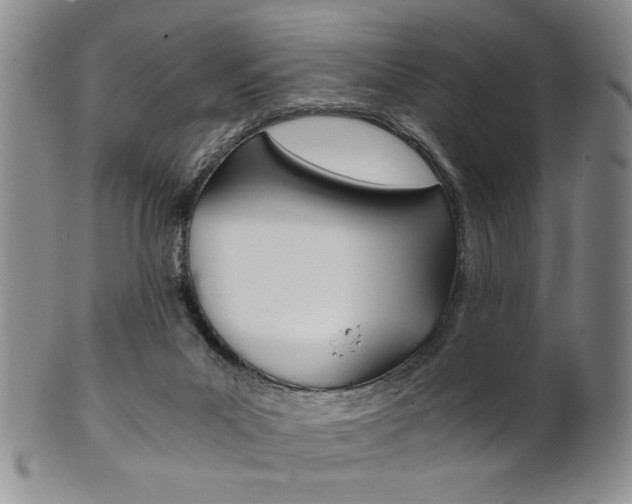 X0000101680023200807101155