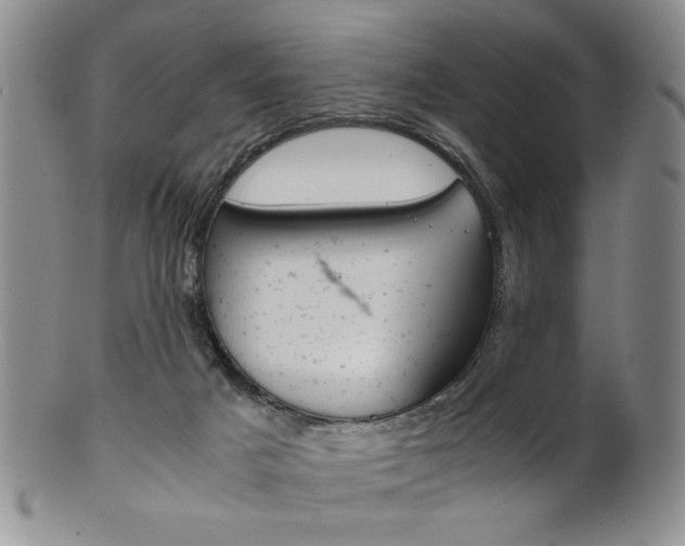 X0000101680025200807101155