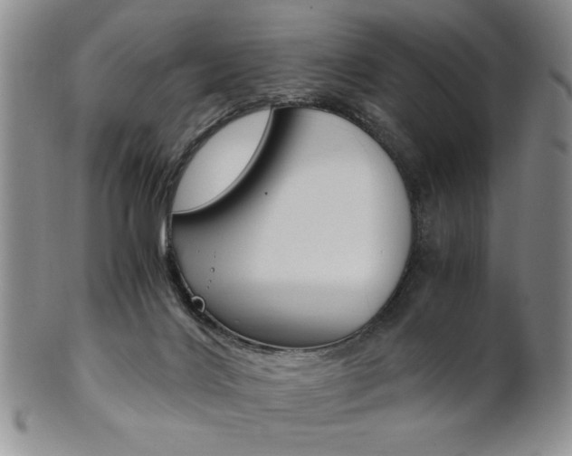 X0000101680028200807101155