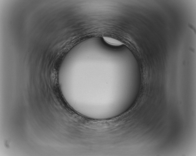 X0000101680029200807101155