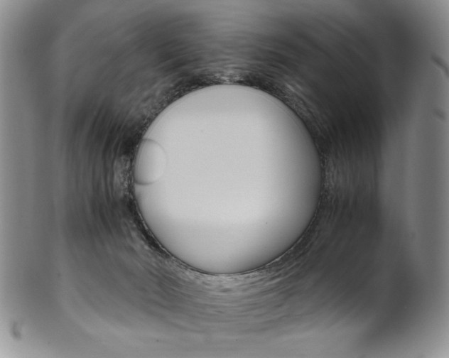 X0000101680030200807101155