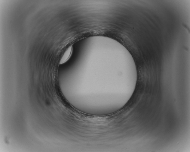 X0000101680032200807101155