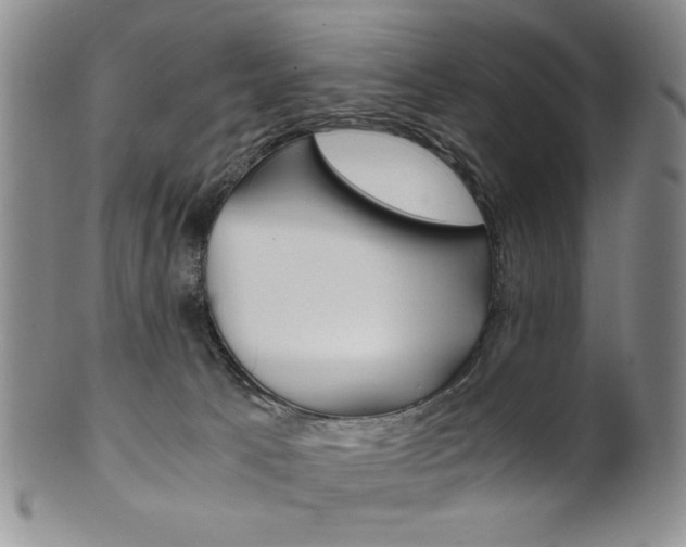 X0000101680033200807101155