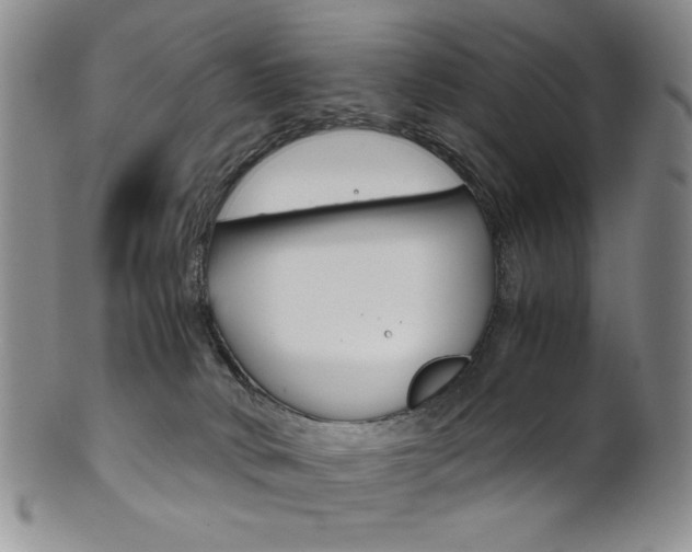 X0000101680034200807101155