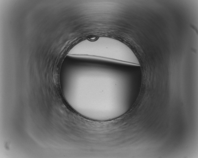 X0000101680035200807101155