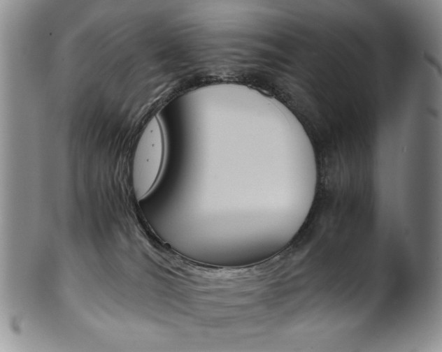 X0000101680036200807101155