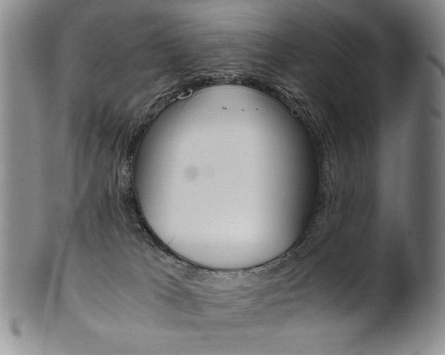 X0000101680037200807101155