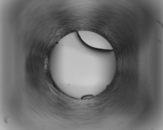 X0000101680038200807101155