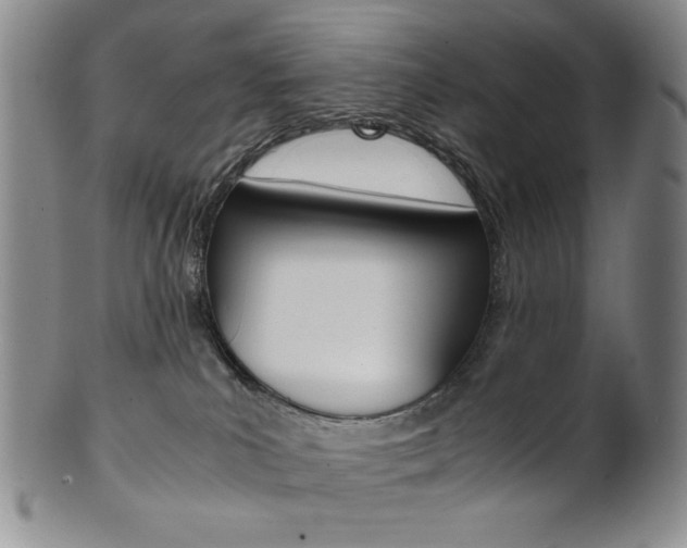 X0000101680039200807101155