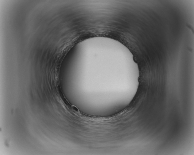 X0000101680040200807101155