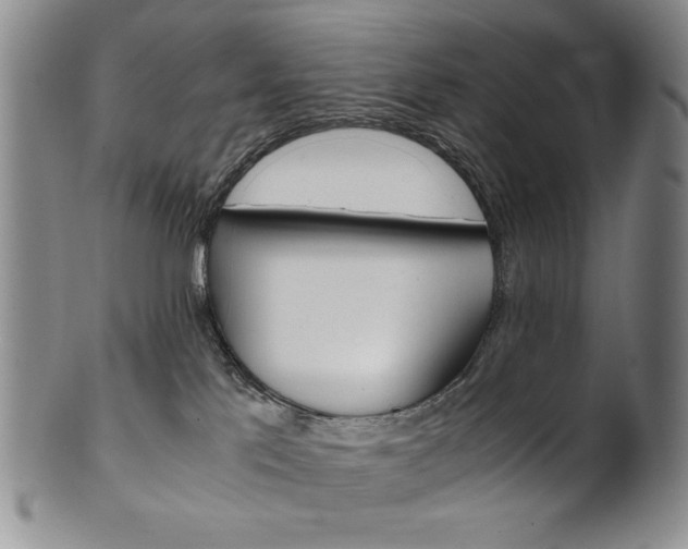 X0000101680041200807101155