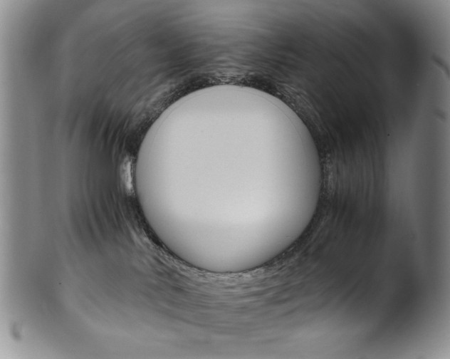 X0000101680042200807101155