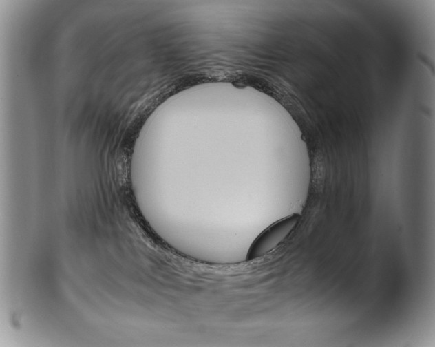 X0000101680043200807101154