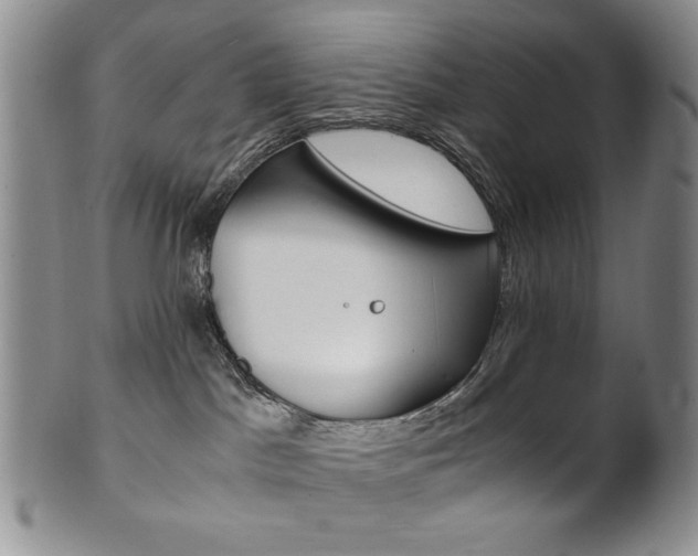 X0000101680045200807101154