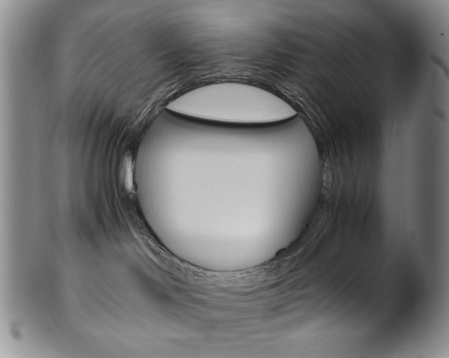 X0000101680046200807101154