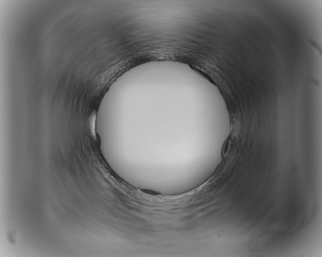 X0000101680047200807101154