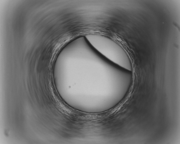 X0000101680049200807101154