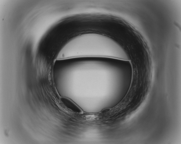 X0000101680050200807101154