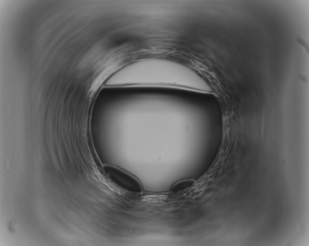 X0000101680051200807101154