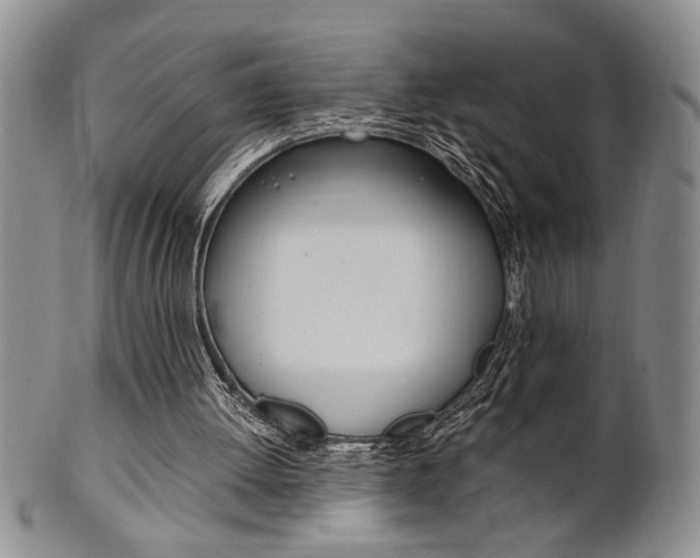 X0000101680052200807101154