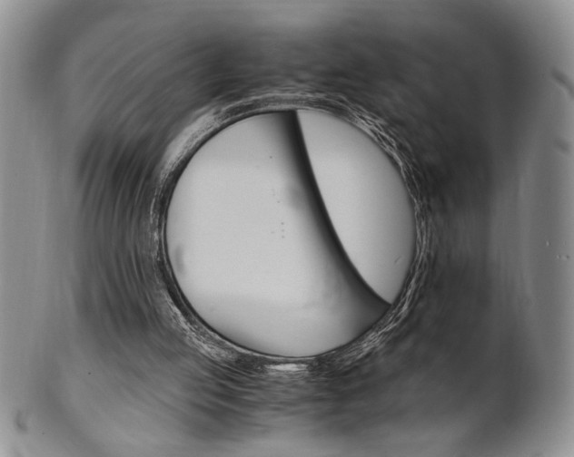 X0000101680053200807101154