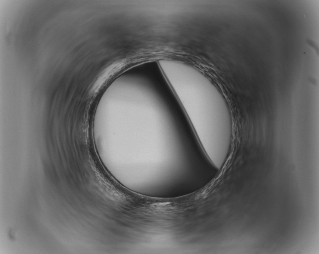 X0000101680054200807101154