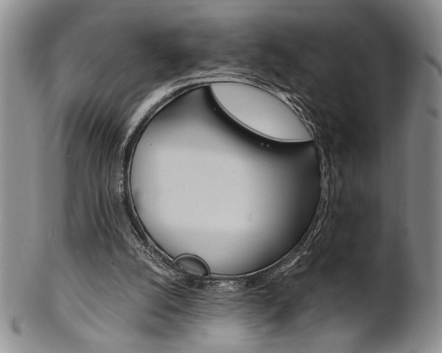 X0000101680056200807101154