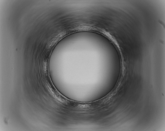 X0000101680057200807101154