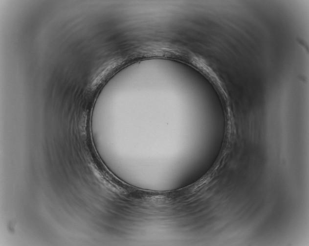 X0000101680058200807101154