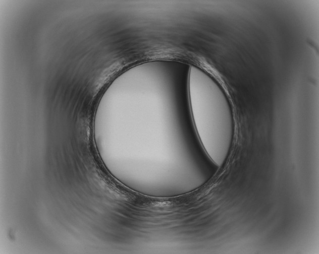 X0000101680059200807101154