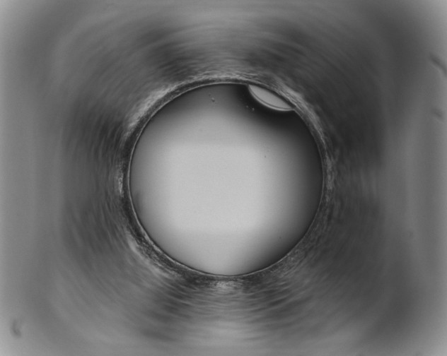 X0000101680060200807101154