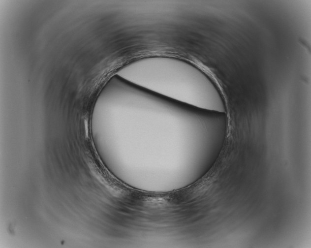 X0000101680061200807101154