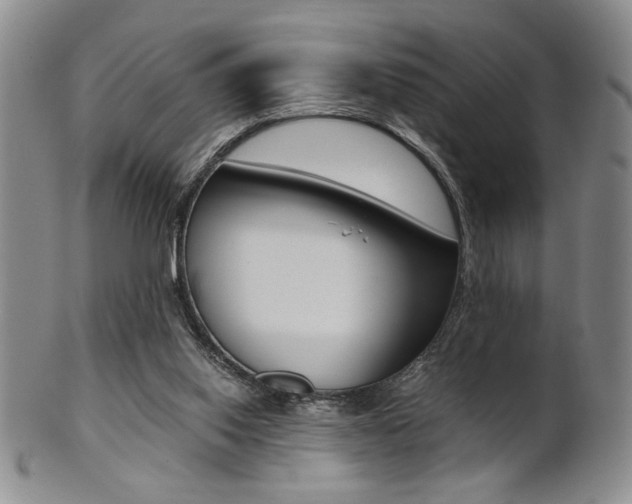 X0000101680062200807101154