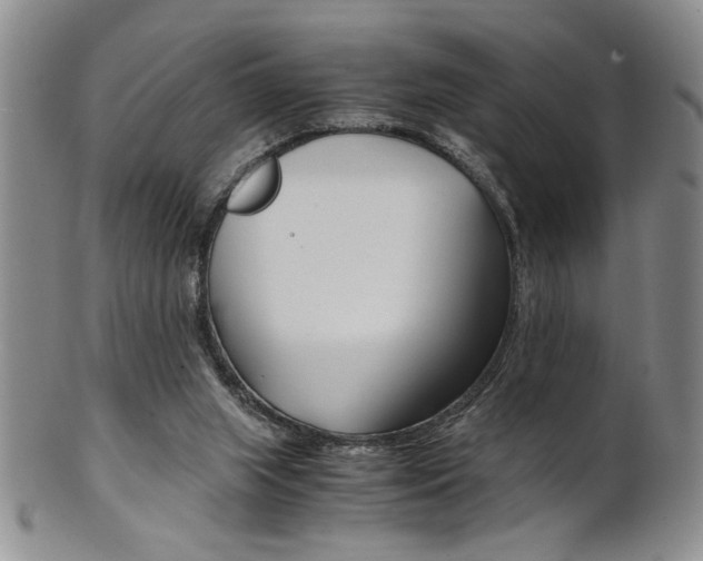 X0000101680063200807101154