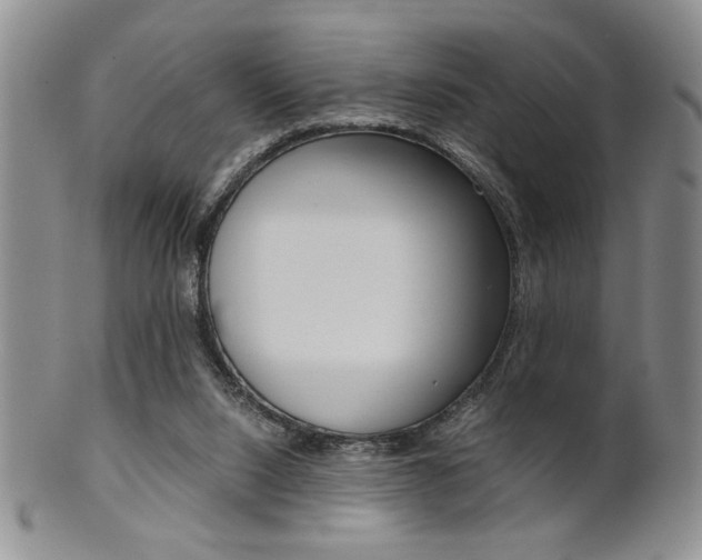 X0000101680064200807101154