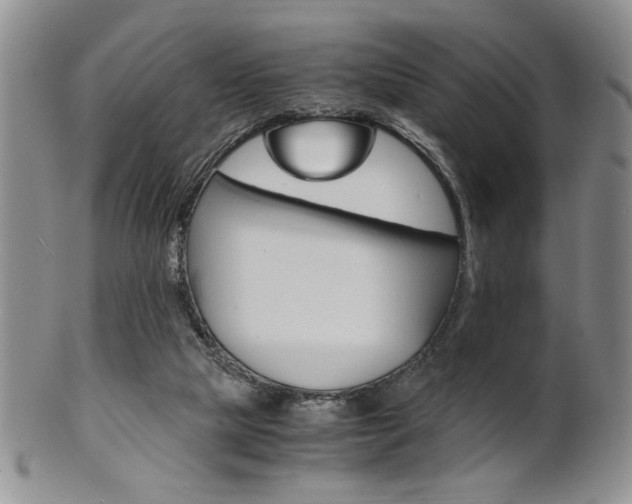 X0000101680065200807101154