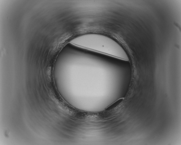 X0000101680066200807101154